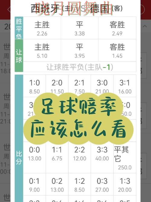 世界杯买球网站赔率变化怎么看更合理完整教学 世界杯买球网站赔率变化怎么看更合理完整教学